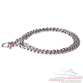 Brushed stainless steel dog collar for safe walking