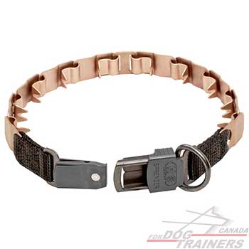 Dog training neck tech dog collar 
