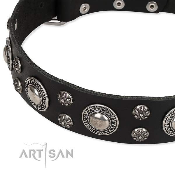 Easy to use leather dog collar with extra strong rust-proof hardware