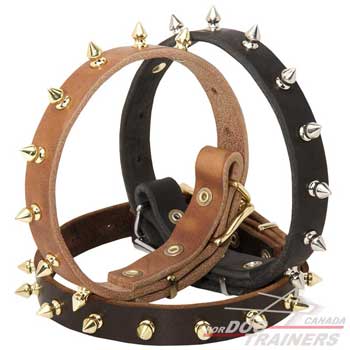 Stylish dog collar of natural leather