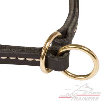 Dog collar with O-ring for the leash