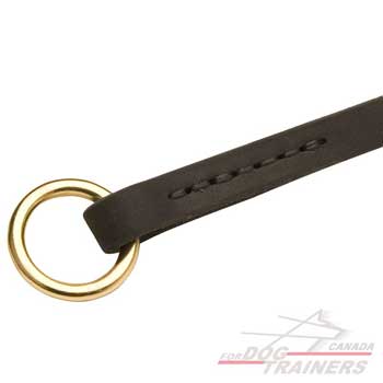 Dog collar with O-ring for the leash