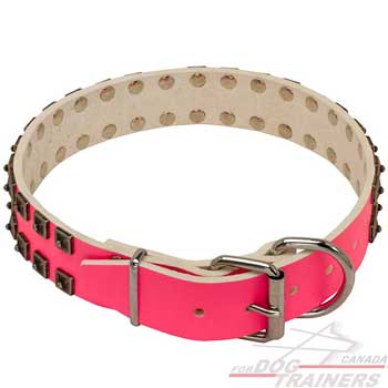 Dog collar with attachment for putting off