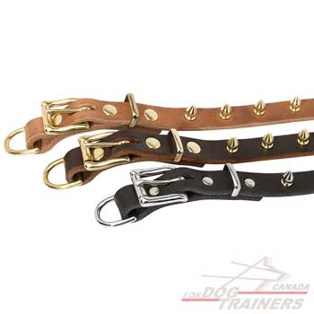 Dog collar with buckle and D-ring