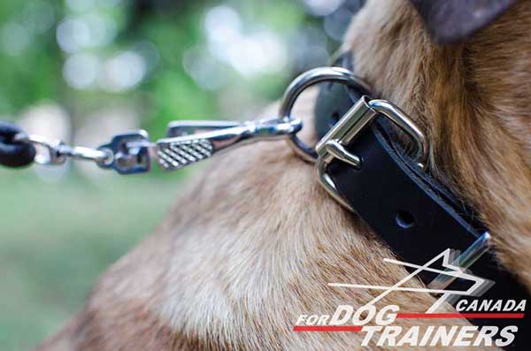 Dog collar with fitting for easier putting on and off