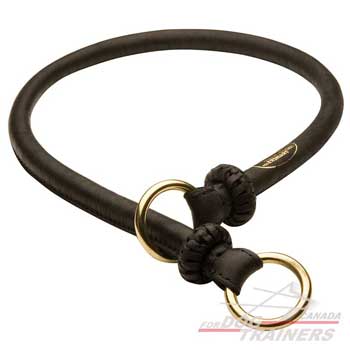 Dog collar of leather with decorated part