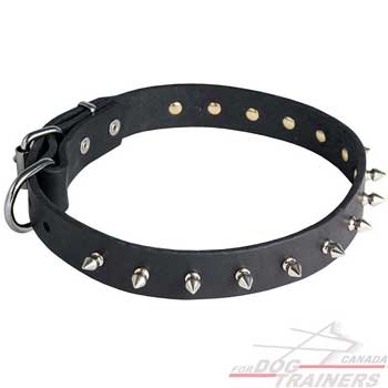 Collar for dogs with spiked decoration