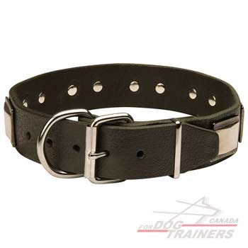 Leather dog collar with convenient buckle