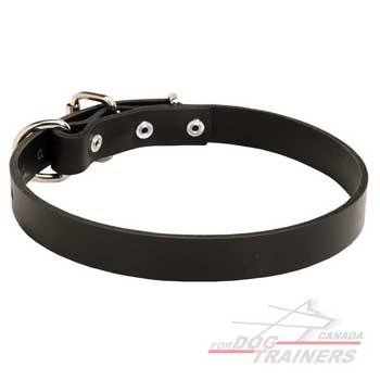 Fine Leather Dog Collar of Classic Design