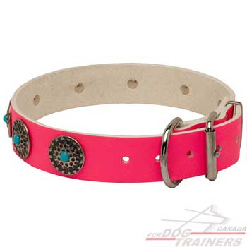 Leather pink dog collar with riveted fittings