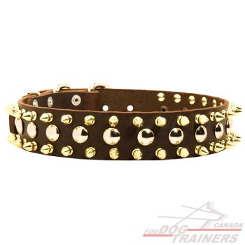 Dog leather collar with studs and spikes