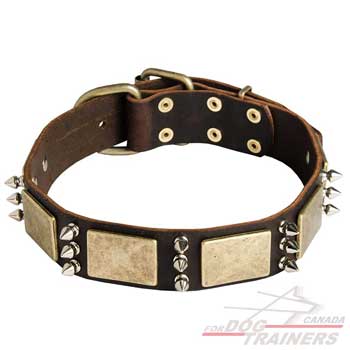 Leather dog collar with plates and spikes