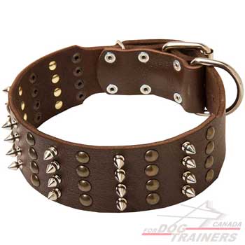 Leather dog collar spiked studded