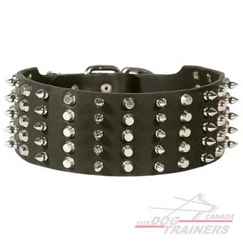 Dog leather collar with spikes and pyramids