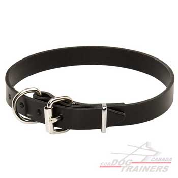 Leather Dog Collar of Classic Design