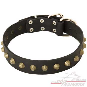Dogleather collar with pyramids