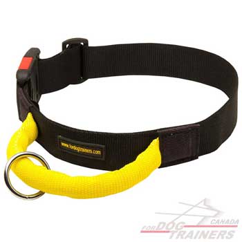 Dog collar nylon for walking in any weather