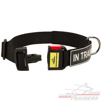 Dog nylon collar for walking or training