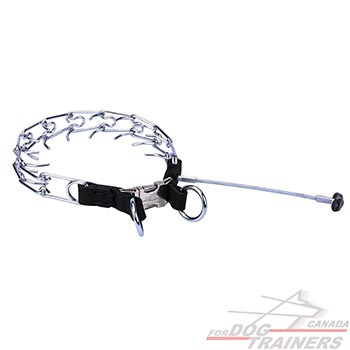 Pinch collar steel chrome plated for behavior correction  
