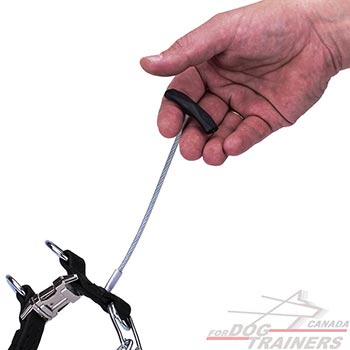 Dog pinch collar with a handle for behavior correction 