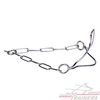 Dog collar of convenient design  