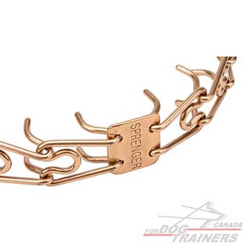 Evenly Placed Curogan Prongs on Pinch Collar for Behavior Correction  