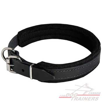 Leather Dog Collar Felt Padded