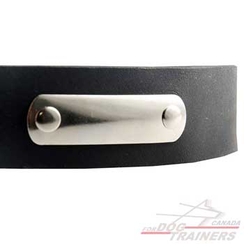 Id Tag on Durable Leather Dog Collar for Engraving Contact Information