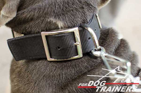 Large Ring with Nickel Buckle are Strong and Reliable