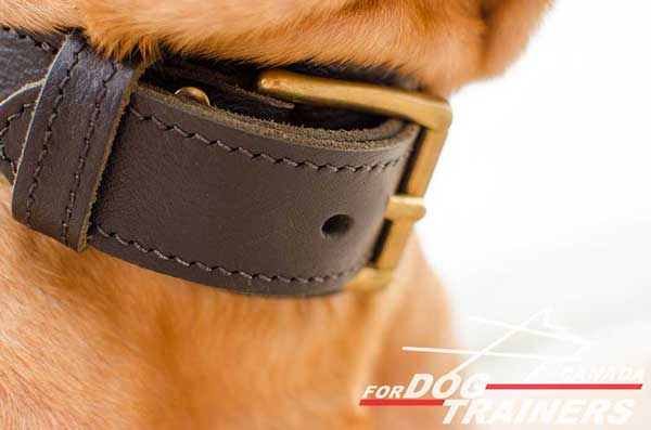 Leather Collar for Dog with Adjustable Brass Buckle