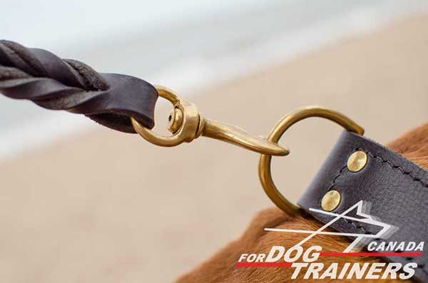 Leather Dog Collar with Easily Attached D-ring