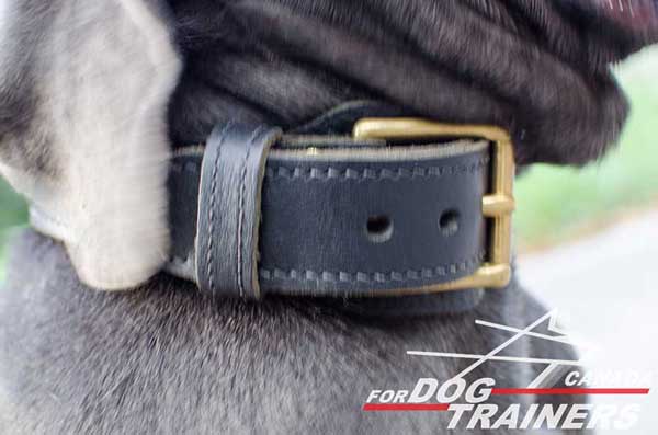 Leather Collar for Dog's Fur Protection 