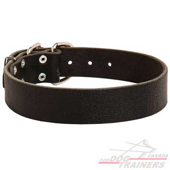 Leather Canine Collar Made of Dog Friendly Materials