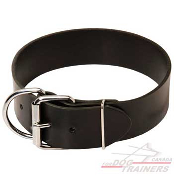 Training Leather Canine Collar