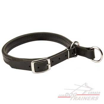 Adjustable Leather Choke Collar