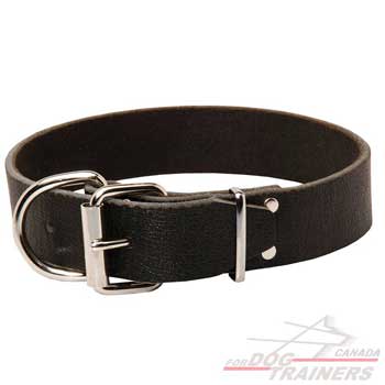 Leather Collar for Dog Training and Walking