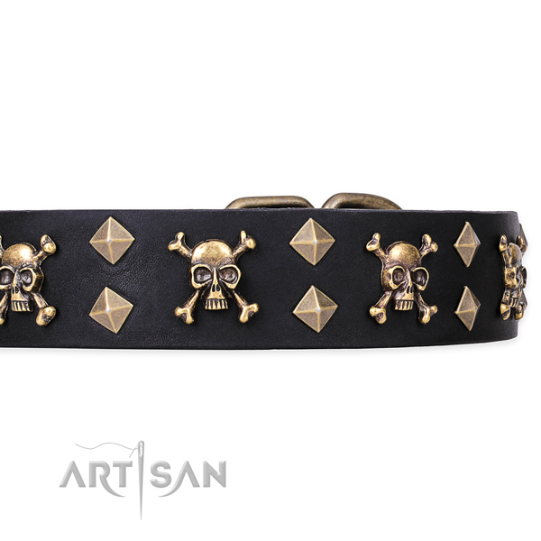Awesome leather dog collar for easy walking