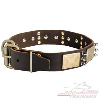 Leather dog collar with convenient buckle