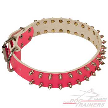 Leather dog collar with decoration