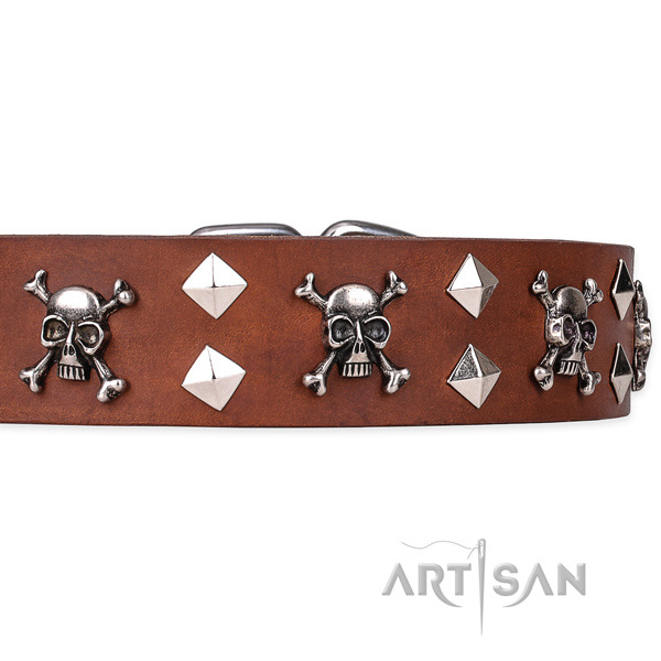 Daily leather dog collar with exceptional decorations