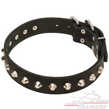 Dog Leather Collar with Fashionable Decoration