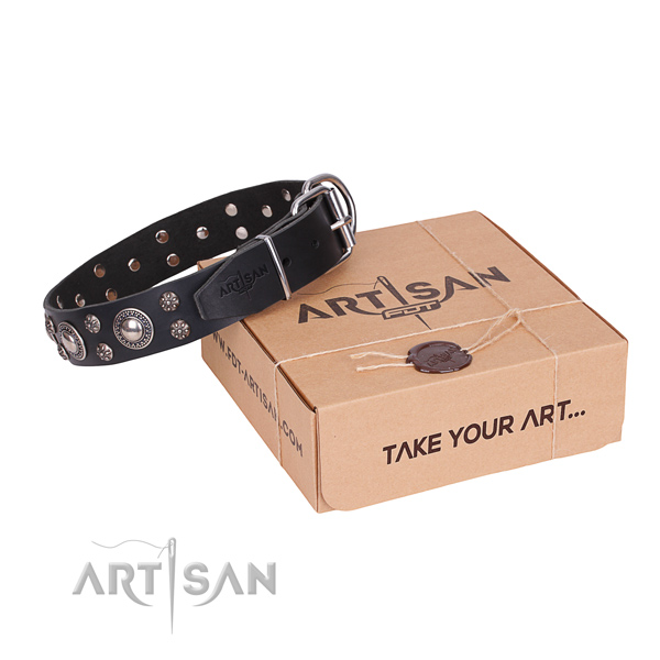 Casual style leather dog collar with cute studs