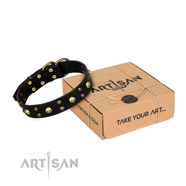Long-wearing leather dog collar with sturdy fittings