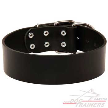 Dog Leather Collar of Extra Wide Design