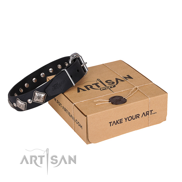 Casual style leather dog collar with astonishing embellishments