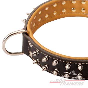 Dog Collar Nappa Leather Padded