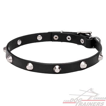 Unusual chrome plated pyramids for leather dog collar