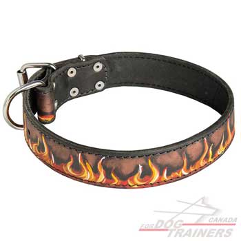 Painted Leather Dog Collar