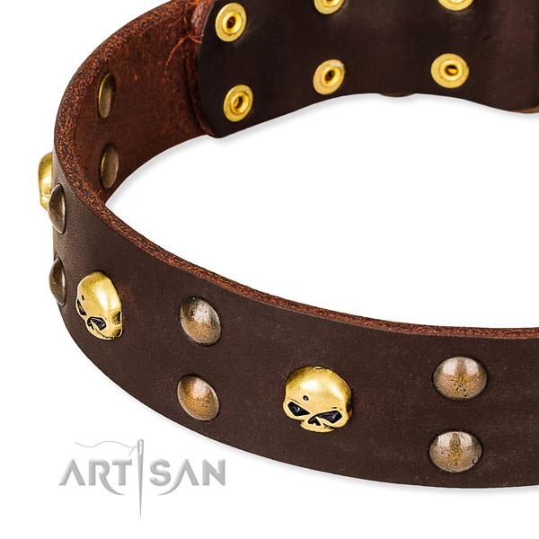 Leather dog collar with smooth edges for pleasant daily walking