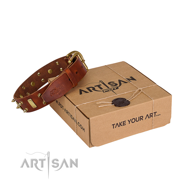Daily leather dog collar with astounding embellishments